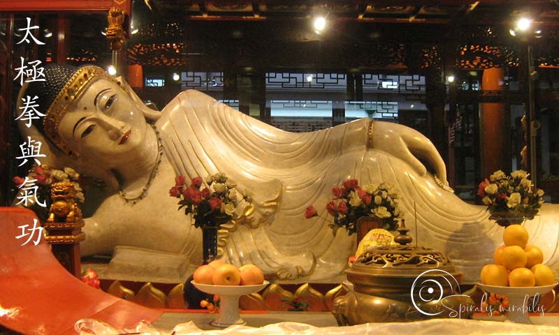 Spiralis Mirabilis - Rivista dedicata alle arti marziali cinesi e alla cultura tradizionale cinese con focus su Tai Chi QiGong e DaoYin Spiralis Mirabilis - Rivista dedicata alle arti marziali cinesi e alla cultura tradizionale cinese con focus su Tai Chi QiGong e DaoYin