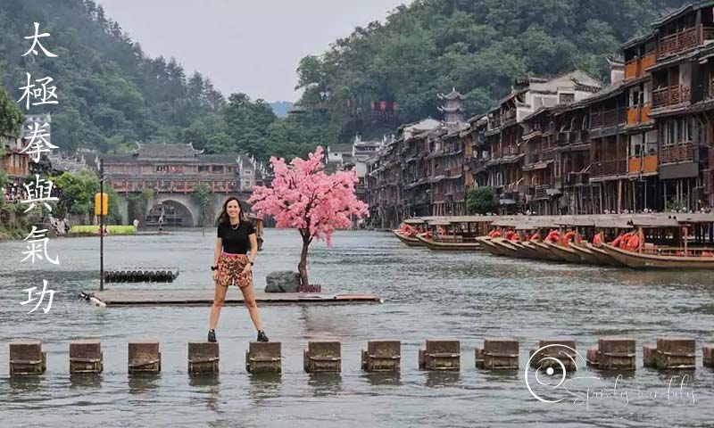 Spiralis Mirabilis - Rivista dedicata alle arti marziali cinesi e alla cultura tradizionale cinese con focus su Tai Chi QiGong e DaoYin Spiralis Mirabilis - Rivista dedicata alle arti marziali cinesi e alla cultura tradizionale cinese con focus su Tai Chi QiGong e DaoYin