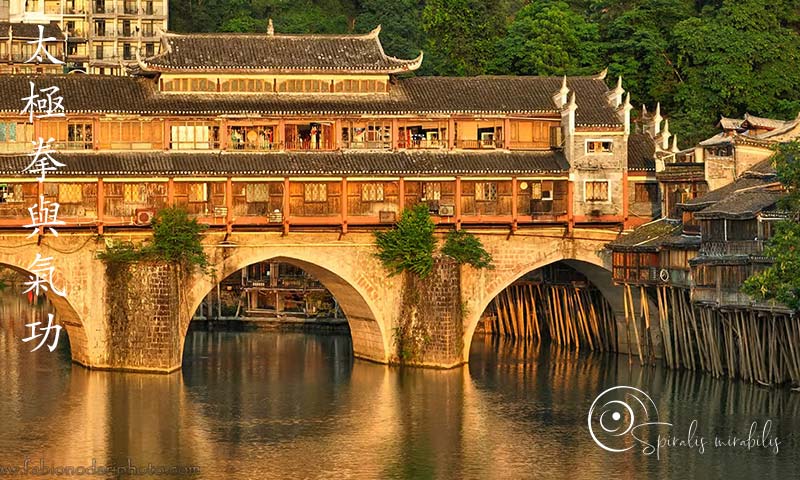 Spiralis Mirabilis - Rivista dedicata alle arti marziali cinesi e alla cultura tradizionale cinese con focus su Tai Chi QiGong e DaoYin Spiralis Mirabilis - Rivista dedicata alle arti marziali cinesi e alla cultura tradizionale cinese con focus su Tai Chi QiGong e DaoYin