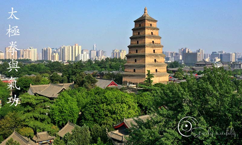 Spiralis Mirabilis - Rivista dedicata alle arti marziali cinesi e alla cultura tradizionale cinese con focus su Tai Chi QiGong e DaoYin Spiralis Mirabilis - Rivista dedicata alle arti marziali cinesi e alla cultura tradizionale cinese con focus su Tai Chi QiGong e DaoYin