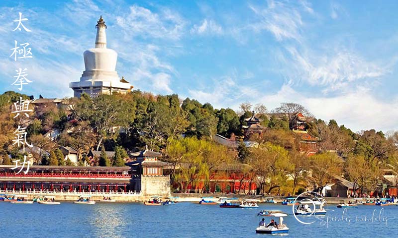 Spiralis Mirabilis - Rivista dedicata alle arti marziali cinesi e alla cultura tradizionale cinese con focus su Tai Chi QiGong e DaoYin Spiralis Mirabilis - Rivista dedicata alle arti marziali cinesi e alla cultura tradizionale cinese con focus su Tai Chi QiGong e DaoYin