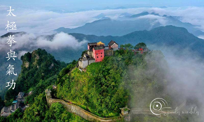 Spiralis Mirabilis - Rivista dedicata alle arti marziali cinesi e alla cultura tradizionale cinese con focus su Tai Chi QiGong e DaoYin Spiralis Mirabilis - Rivista dedicata alle arti marziali cinesi e alla cultura tradizionale cinese con focus su Tai Chi QiGong e DaoYin