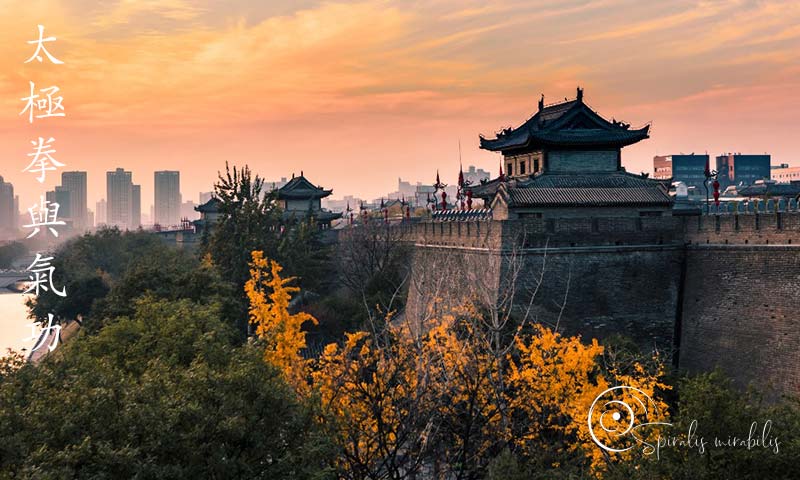 Spiralis Mirabilis - Rivista dedicata alle arti marziali cinesi e alla cultura tradizionale cinese con focus su Tai Chi QiGong e DaoYin Spiralis Mirabilis - Rivista dedicata alle arti marziali cinesi e alla cultura tradizionale cinese con focus su Tai Chi QiGong e DaoYin